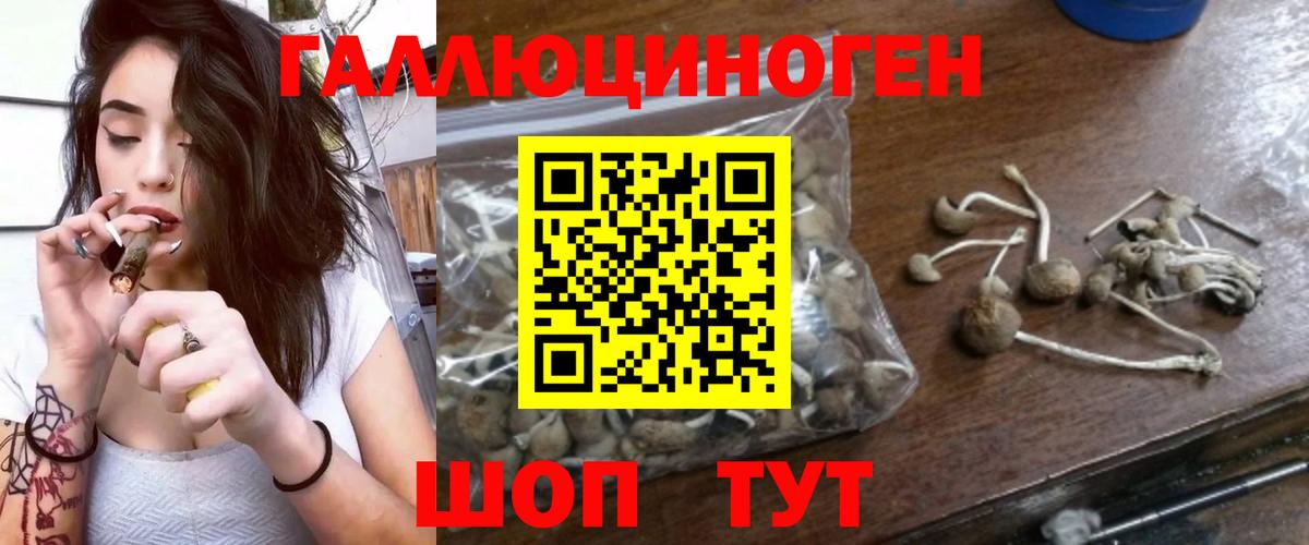 Галлюциногенные грибы ЛСД  Псилоцибиновые грибы мухоморы  Анжеро-Судженск  наркотики  Вход с VPN 